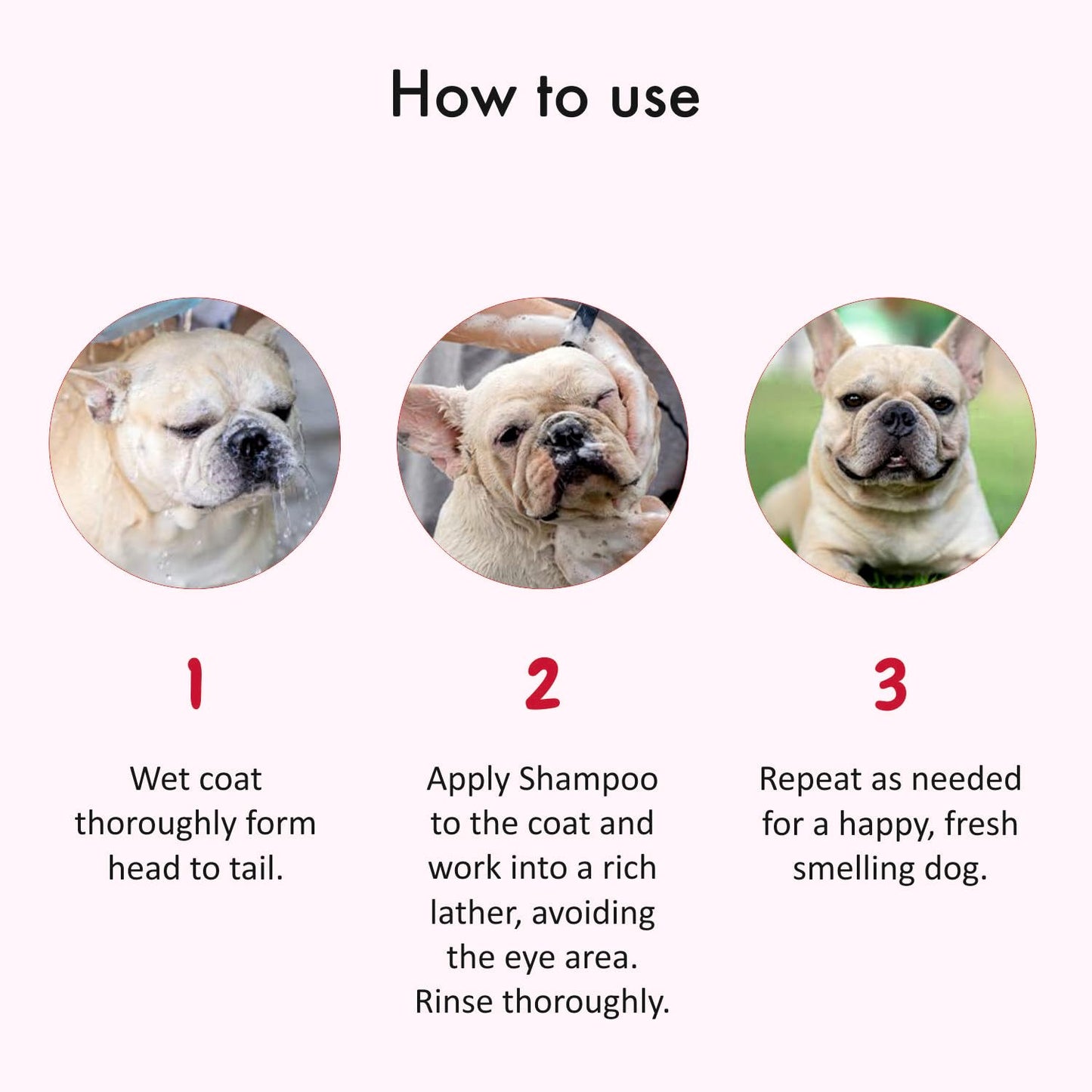 Anti Dandruff Dog Shampoo