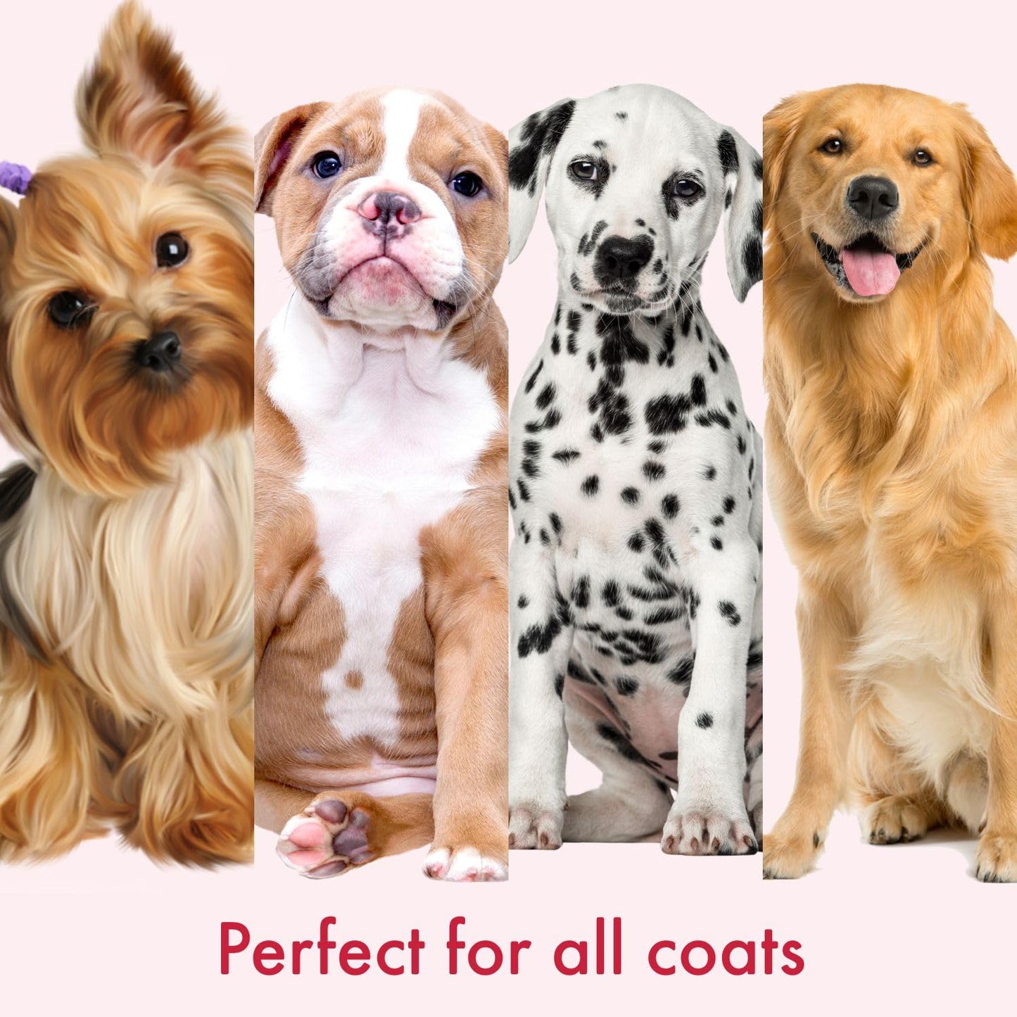 Anti Frizz Dog shampoo