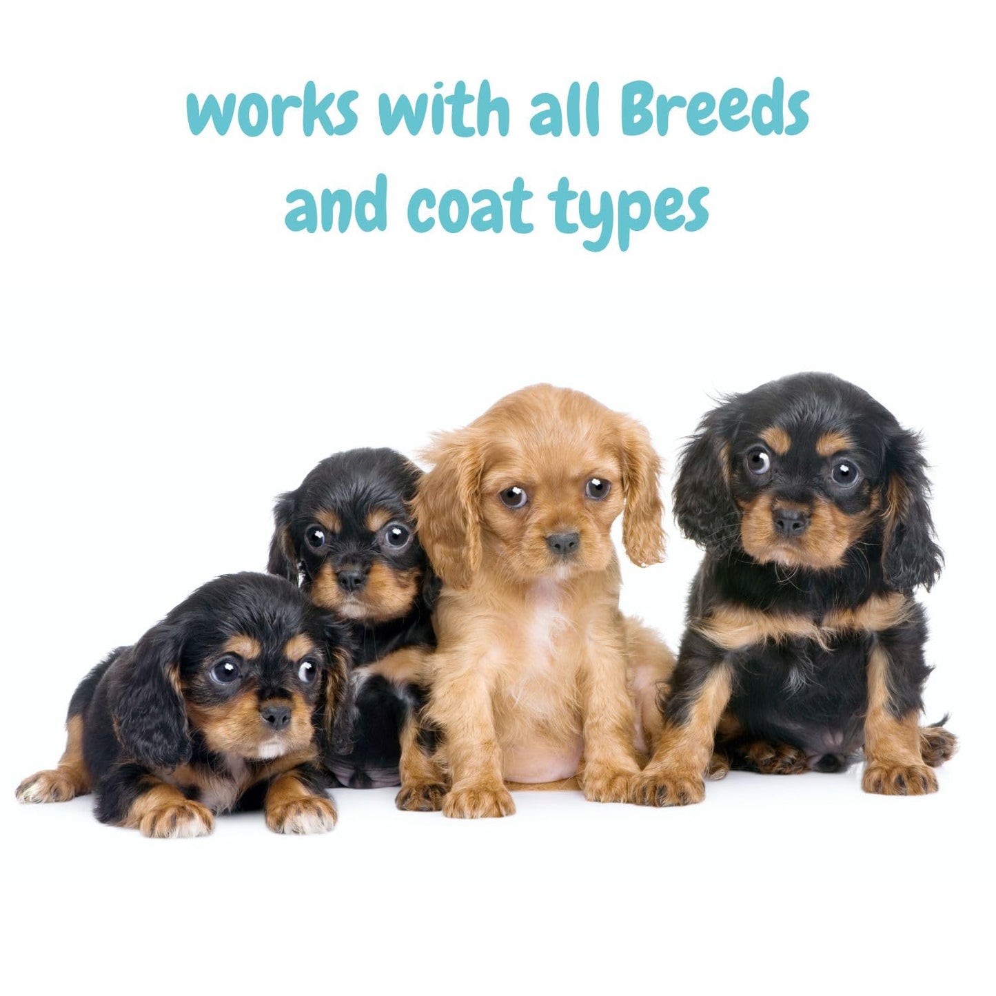 Baby Bark Dry Shampoo