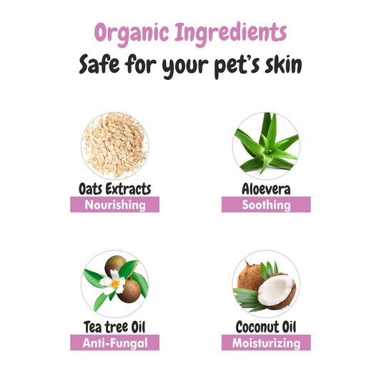 Bscly Meow Cat Shampoo - Enriched with Strawberry