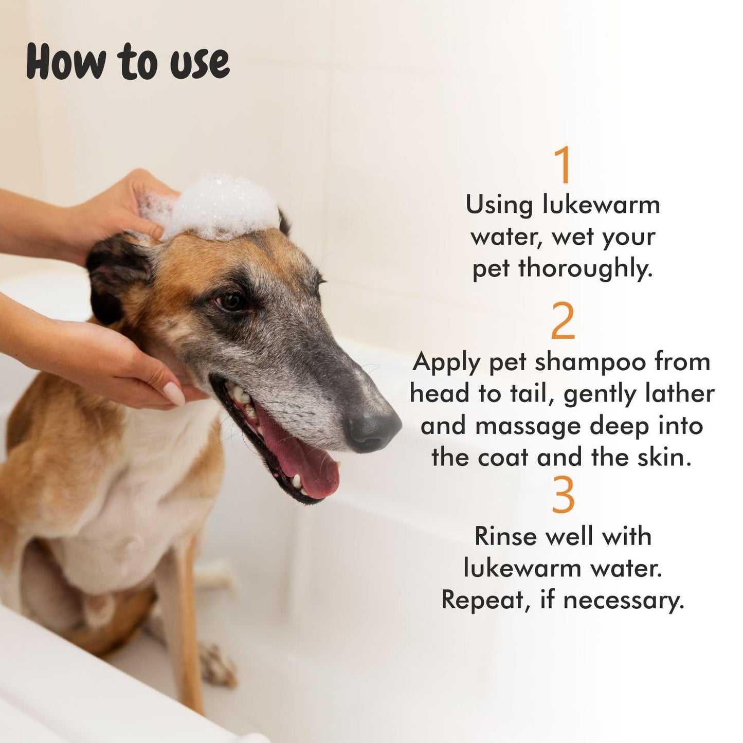 Itch Calm Shampoo