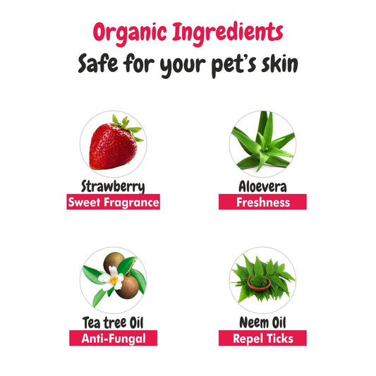 Ingredients of bscly Kennel Wash with Strawberry — alternate view, BSCLY