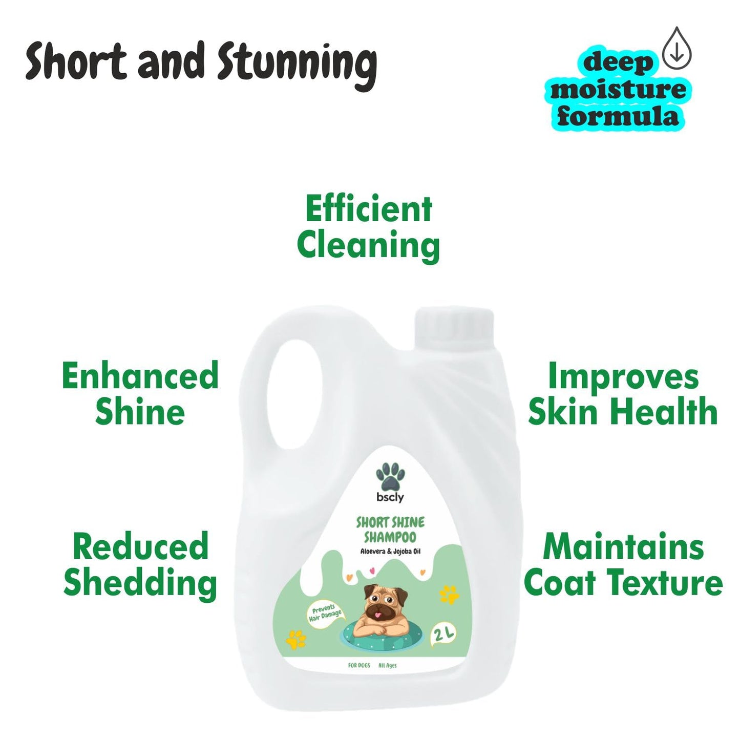 Short Shine Shampoo