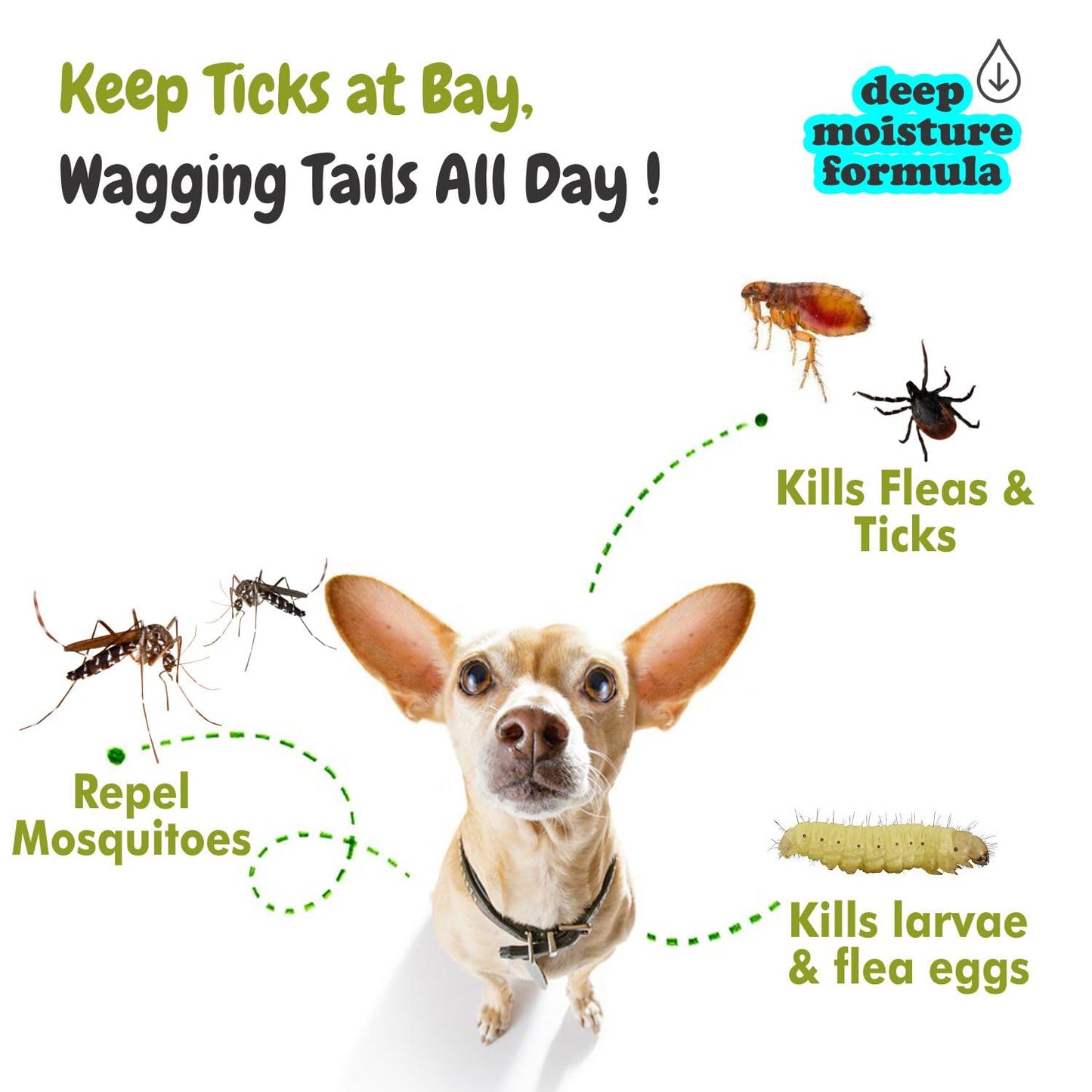 Tick Off Dog Shampoo