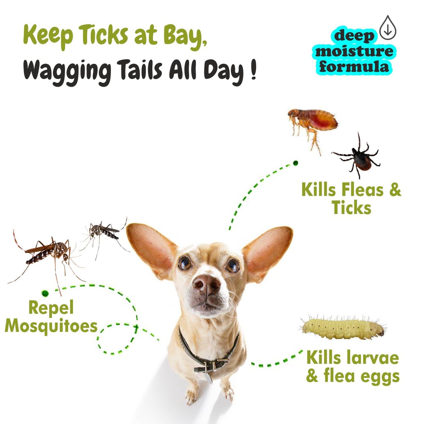 Tick Off Shampoo