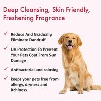 bscly Anti-Dandruff Dog Shampoo