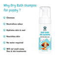 Benefits of bscly Baby Bark Dry Shampoo