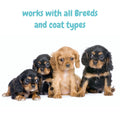 bscly Baby Bark Dry Shampoo