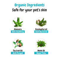 Ingredients of Bacte shield Dog Shampoo