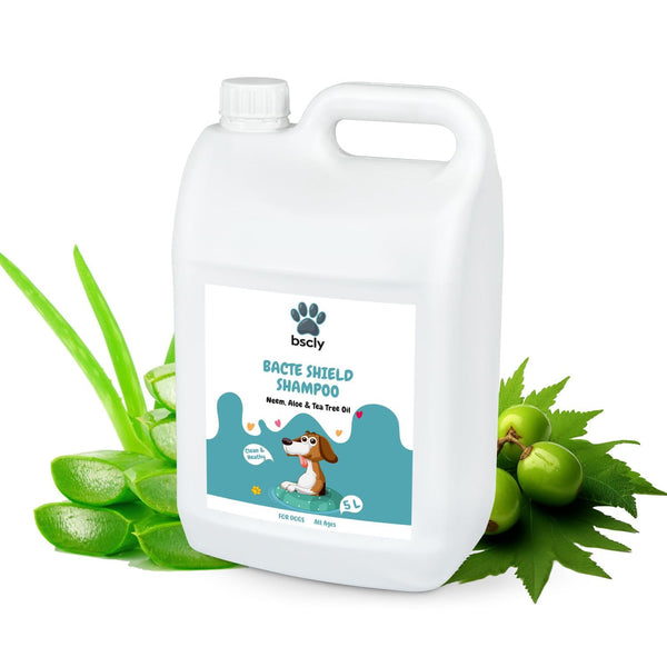 Bacte Shield Dog Shampoo - 5L
