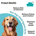 Benefits Of bscly Bacte Shield Dog Shampoo