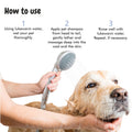 Instructions How to Use bscly Bacte Shield Shampoo