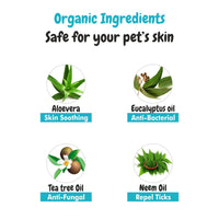 Ingredients of bscly Bacte shield shampoo