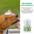 bscly Grooming Wet Wipes 