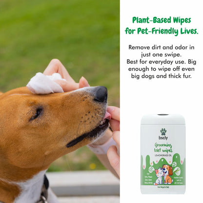 Bscly Pet Wipes for Dogs and Cats