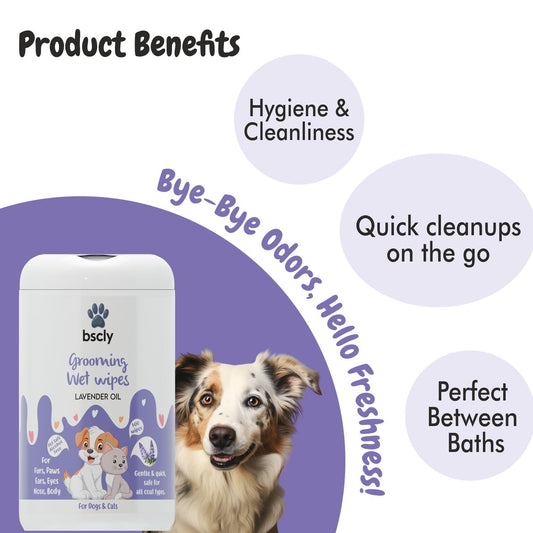 Pet Wipes for Dogs and Cats (Lavender Essential)