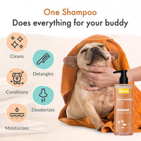 features of bscly deep cleansing shampoo