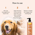 Instructions how to use bscly deep cleansing shampoo