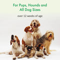 bscly Deep Nourish Dog Shampoo
