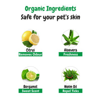 Ingredients Of Deodorizing Spray 