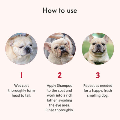 Instructions How to Use Deshedding Dog Shampoo