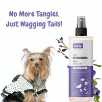 bscly Detangling Spray 