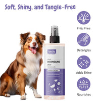 bscly Detangling Spray 