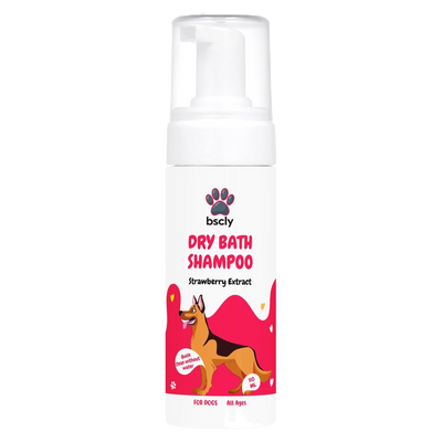 bscly Dry Bath Shampoo Strawberry