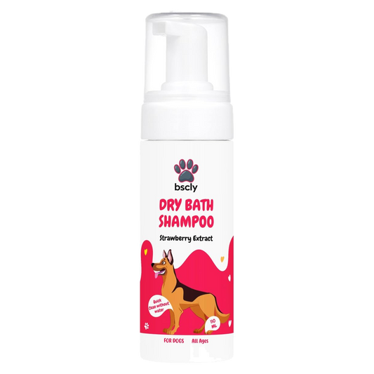 bscly Dry Bath Shampoo Strawberry — BSCLY