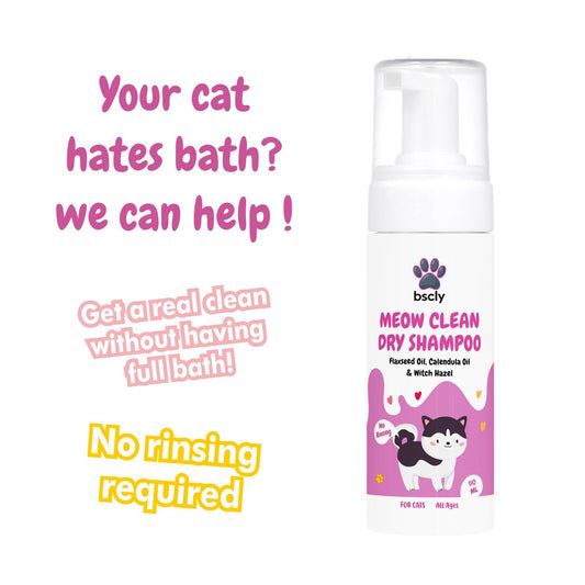 Dry Bath Foam Shampoo