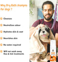 bscly Dry Bath Foaming Shampoo