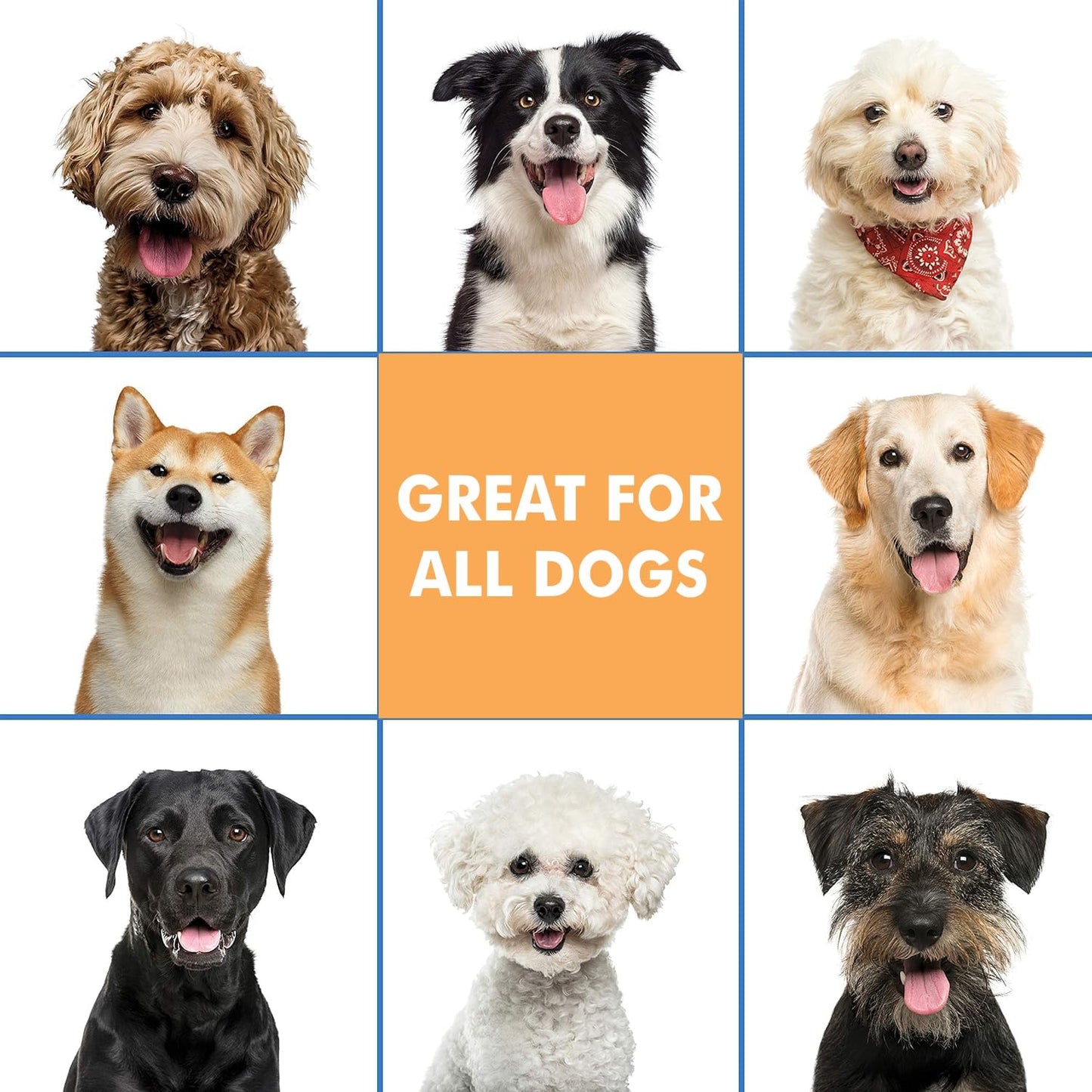 Dry Bath Foaming Shampoo with Peach