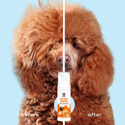 Dry Bath Foaming Shampoo with Peach