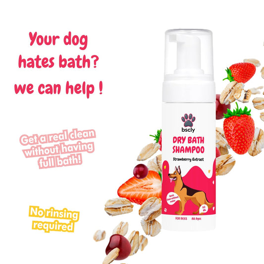 Dry Bath Foaming Shampoo with Strawberry