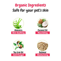 Ingredients Of Dry Bath Shampoo with Strawberry 