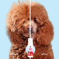 bscly before/After Dry Bath Shampoo with Strawberry
