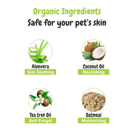 Dry Bath Foaming Shampoo with Tea Tree