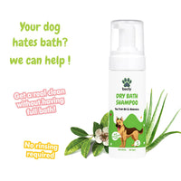 bscly Dry Bath Foaming Shampoo Tea tree  & aloevera