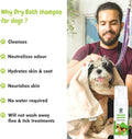 Features of bscly Dry Bath Foaming Shampoo