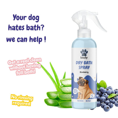 Dry Pet Shampoo with Blueberry Scent