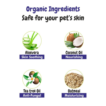 Dry Pet Shampoo with Blueberry Scent