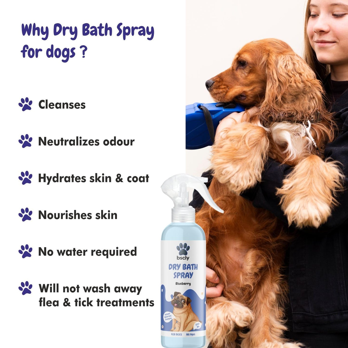 Dry Pet Shampoo with Blueberry Scent