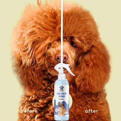 Dry Pet Shampoo with Blueberry Scent