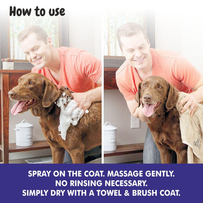 Dry Pet Shampoo with Blueberry Scent