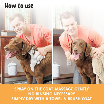 Dry Pet Spray