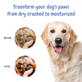 bscly Dual Care Paw & Nose Balm 