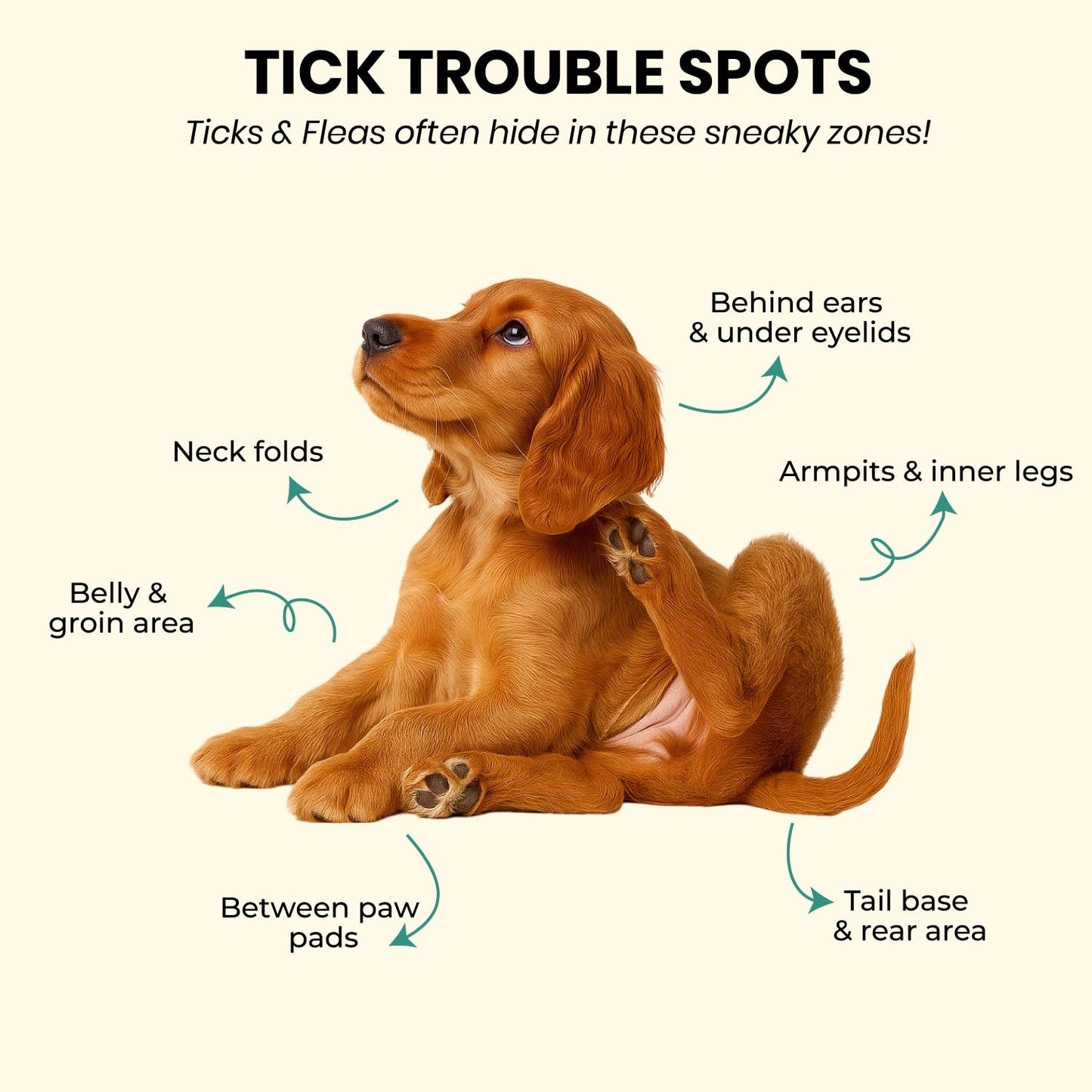 Flea & Ticks Neem Dog Powder (Neem)