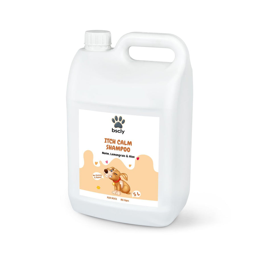 bscly Itch Calm Shampoo