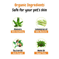 Ingredients of itch calm shampoo