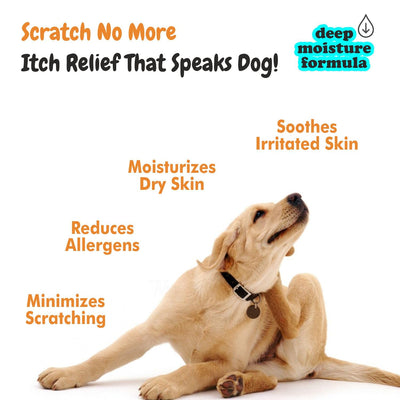 Features of Itch Calm Shampoo